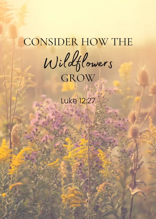 Wildflowers verse
